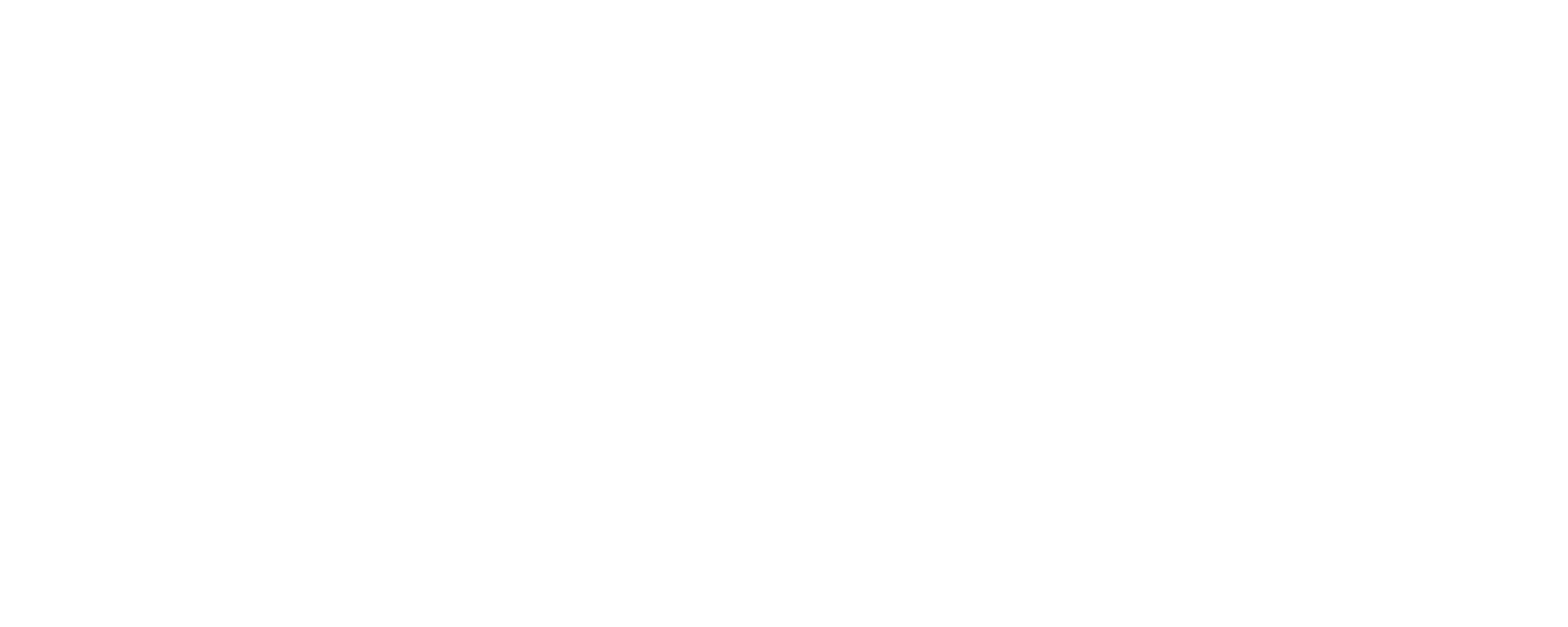 Icon Luxury Group - Brand Partners - Armani