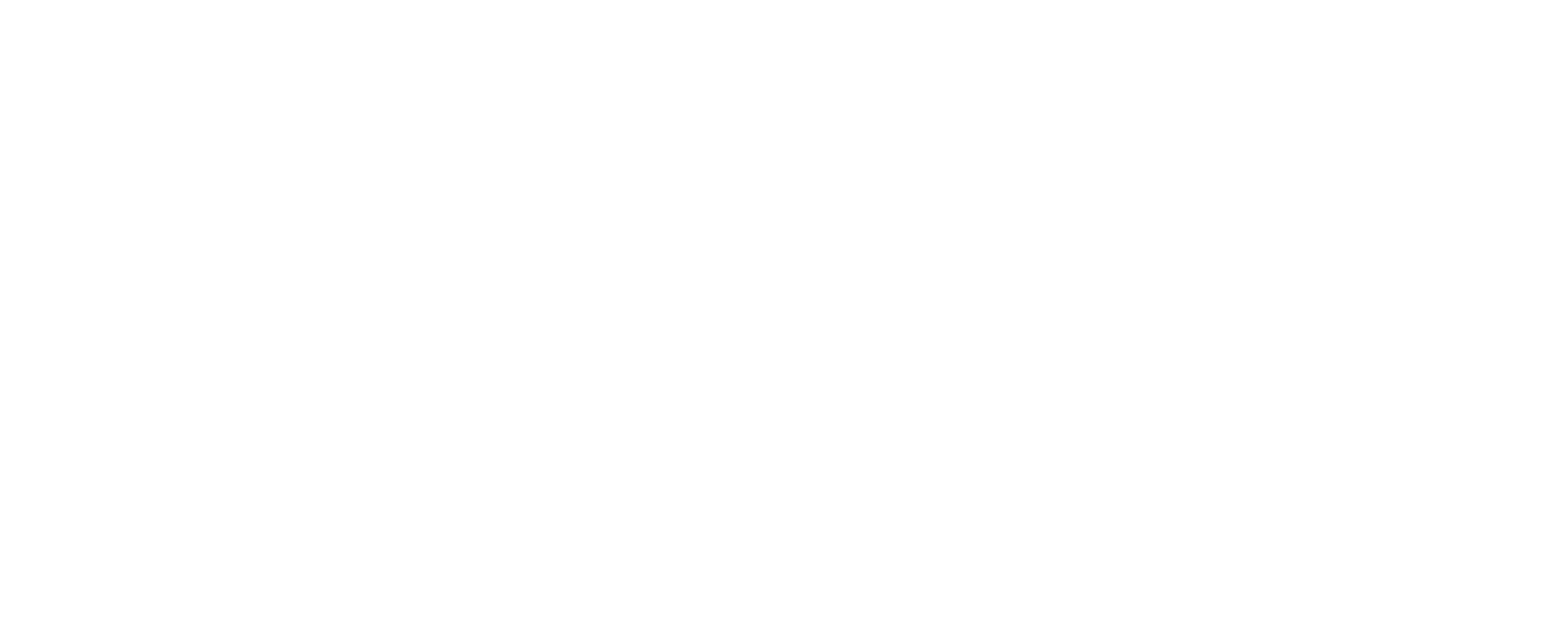 Icon Luxury Group - Brand Partners - Balmain Paris