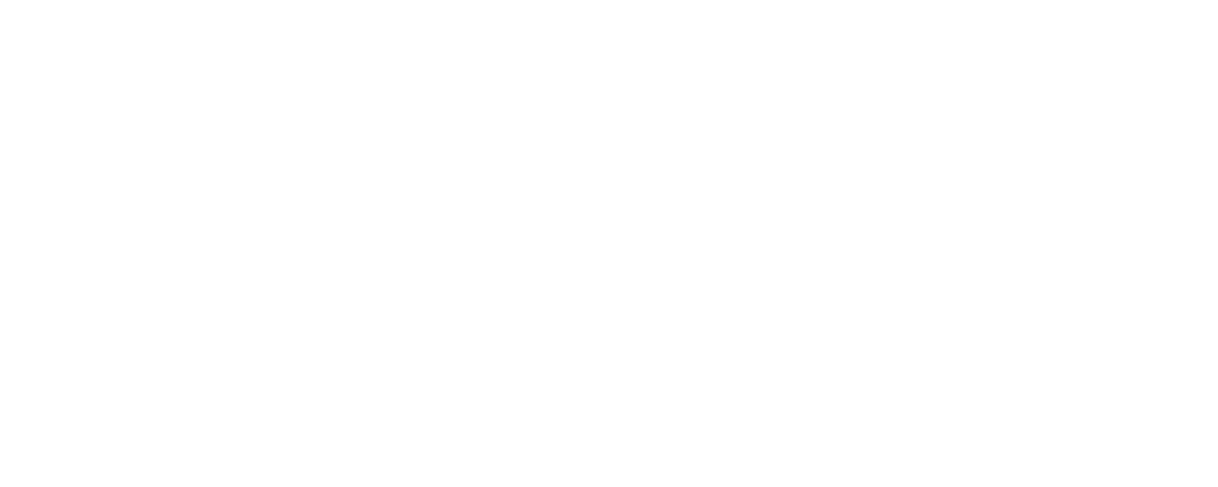 Icon Luxury Group - Brand Partners - Etro