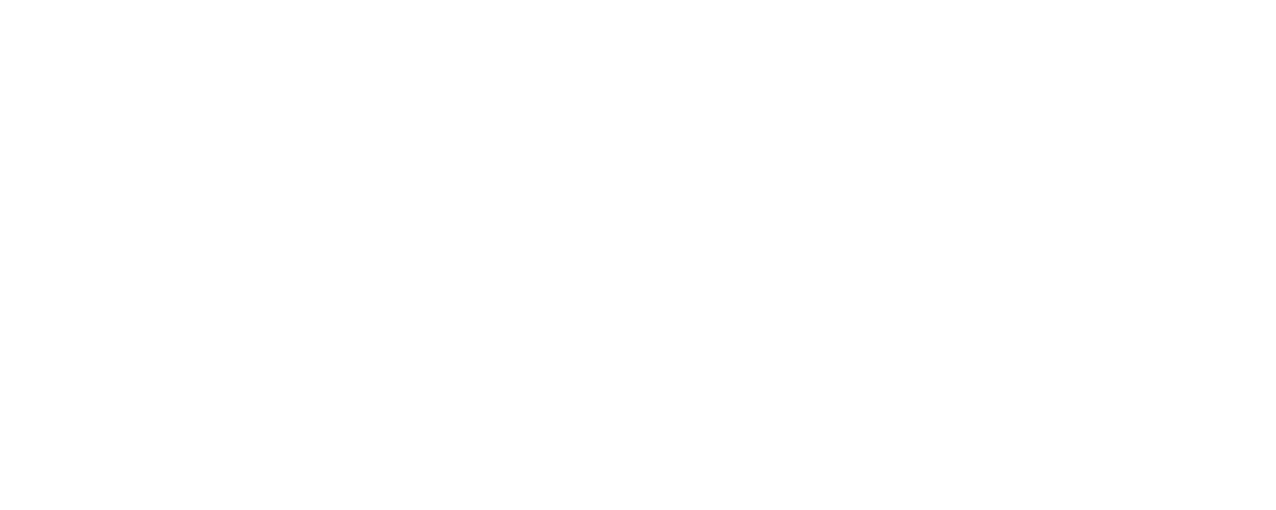 Icon Luxury Group - Brand Partners - Gianvito Rossi