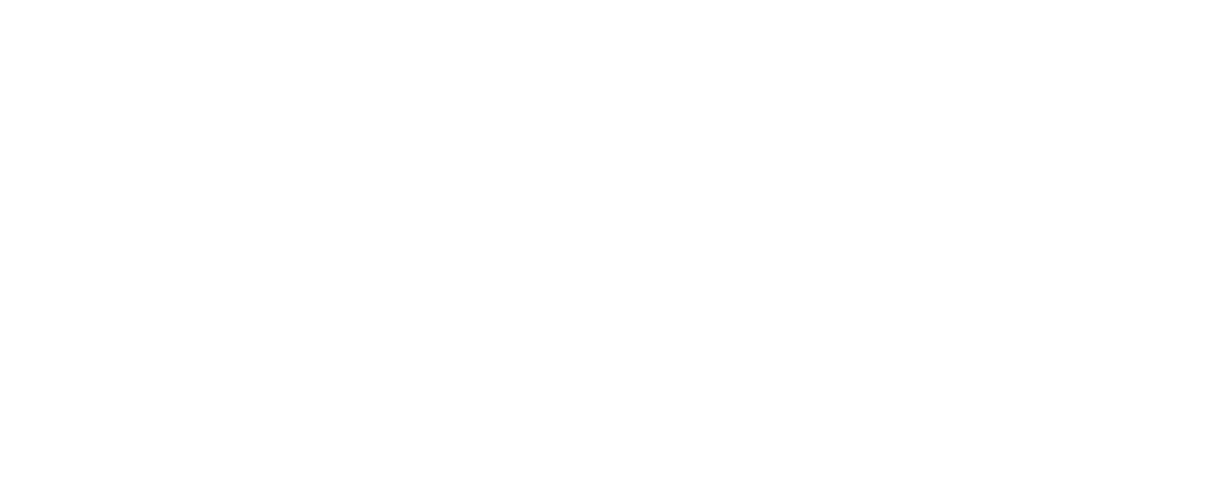 Icon Luxury Group - Brand Partners - Moschino
