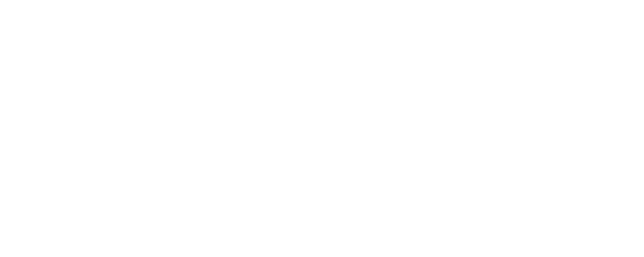 Icon Luxury Group - Brand Partners - Phillip Lim