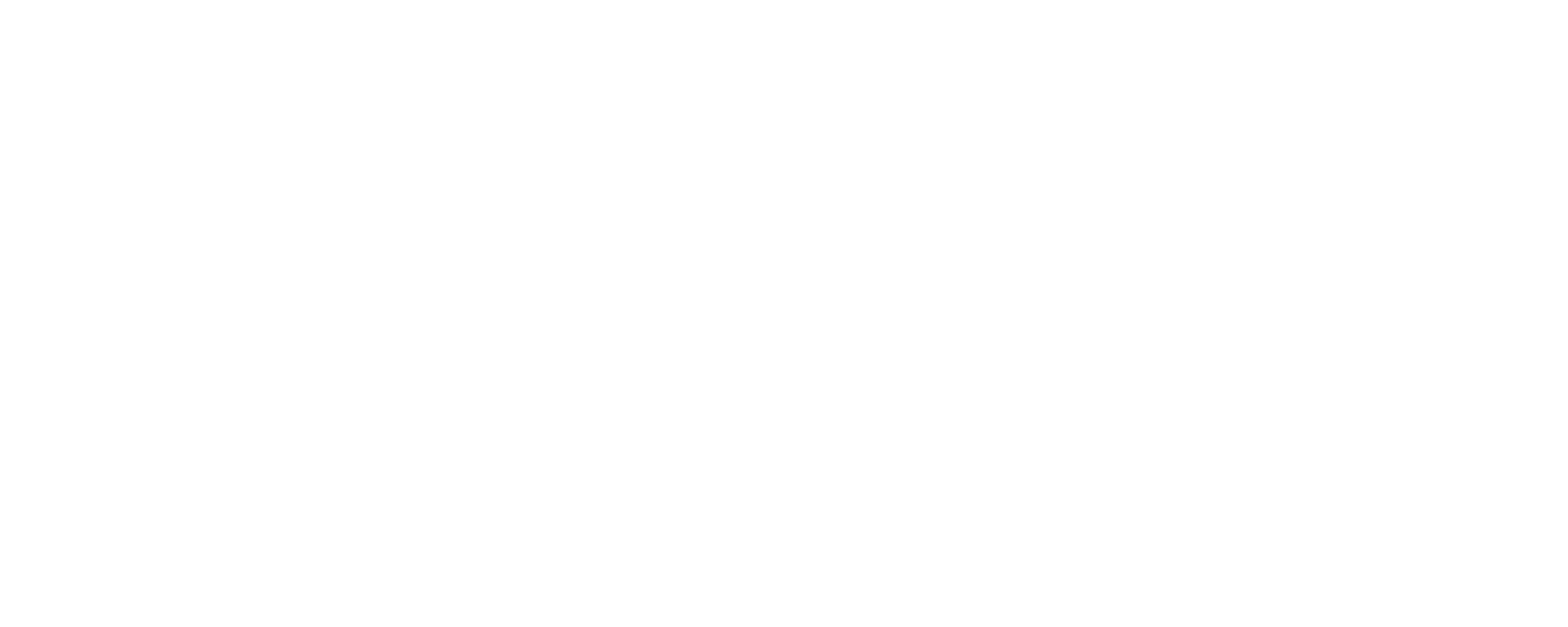 Icon Luxury Group - Brand Partners - Roger Vivier Paris