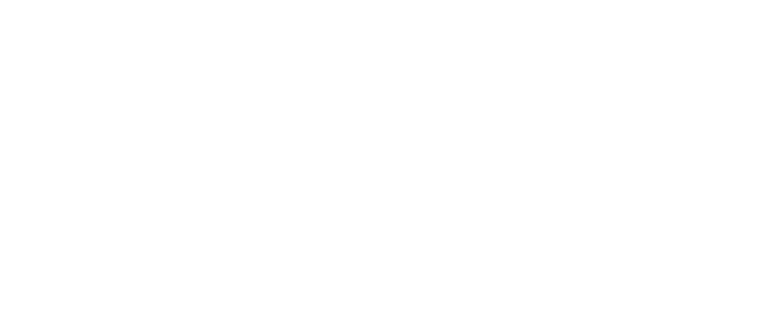 Icon Luxury Group - Brand Partners - Salvatore Ferragamo