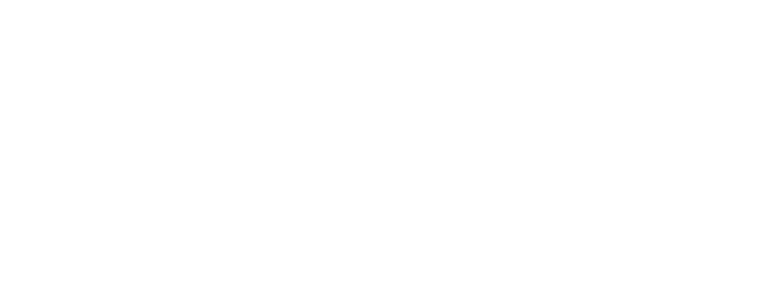 Icon Luxury Group - Brand Partners - Tod's