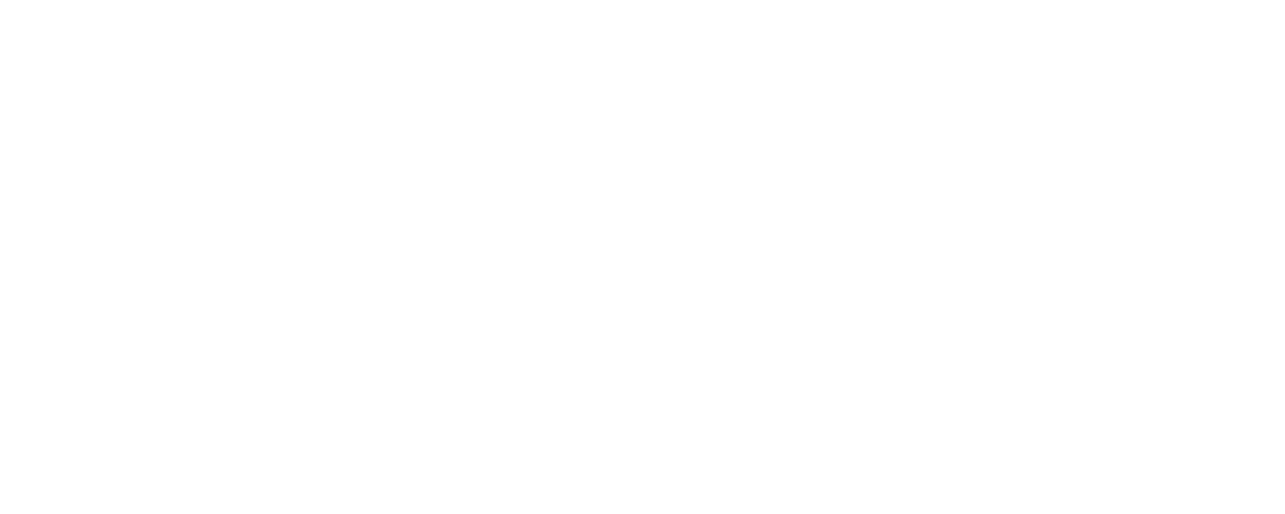 Icon Luxury Group - Brand Partners - Zadig & Voltaire