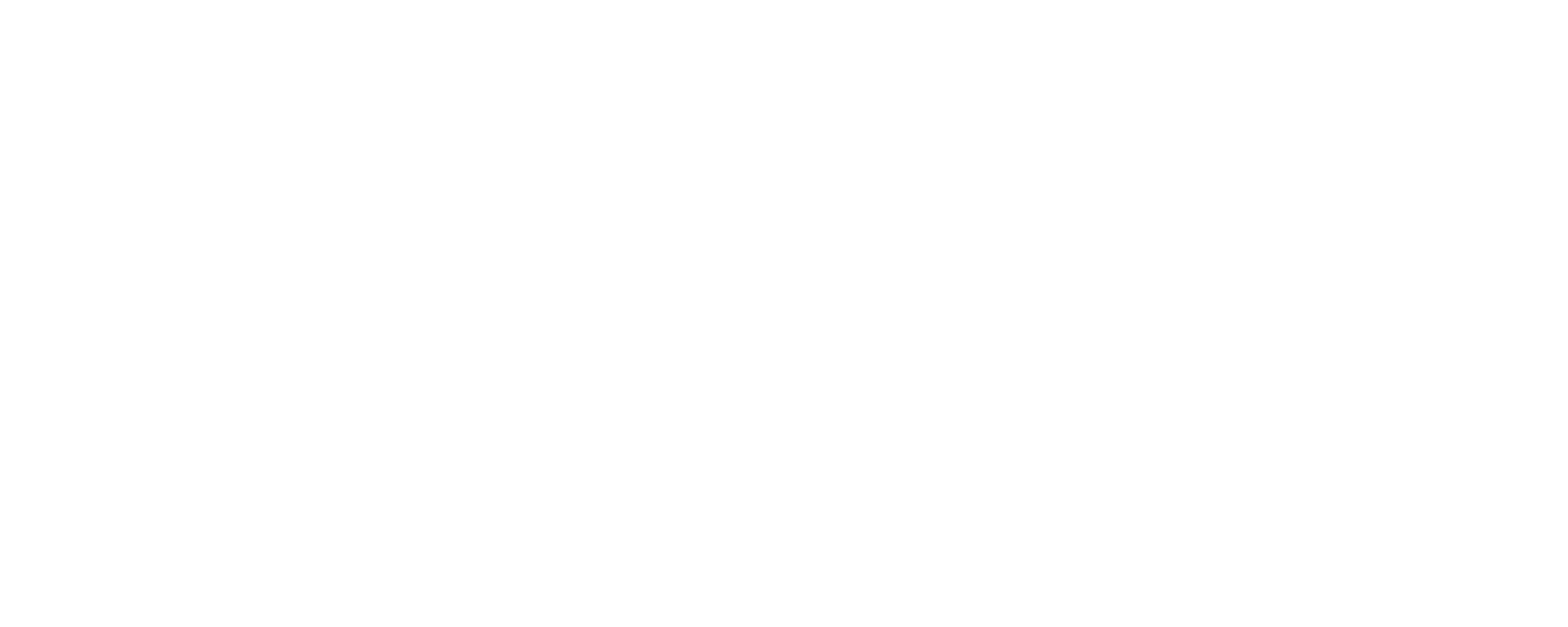 Icon Luxury Group - Services - Brand Licensing Growth - Licensor Cole Haan